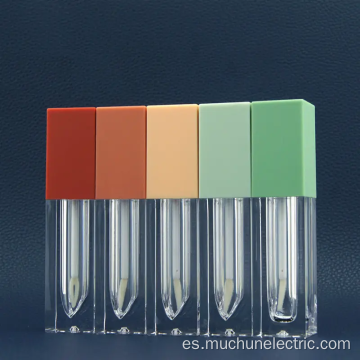 botella cosmética tubos de brillo de labios de color vacío